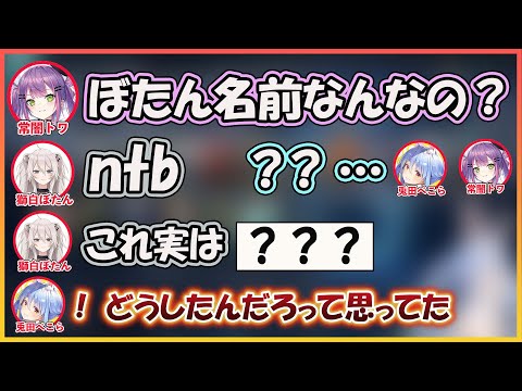 【ホロライブ切り抜き】ししろんの名前『ntb』に困惑するぺこトワ【兎田ぺこら/常闇トワ/獅白ぼたん/hololive】