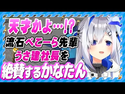 【ホロライブ切り抜き天音かなた】ぺこーら先輩さすが・・・うさ建社長を絶賛するかなたん