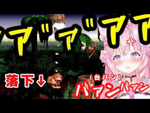 タル大砲で大苦戦してブチ切れるこよちゃんｗｗｗ【ホロライブ6期生/博衣こより/スーパードンキーコング/切り抜き】