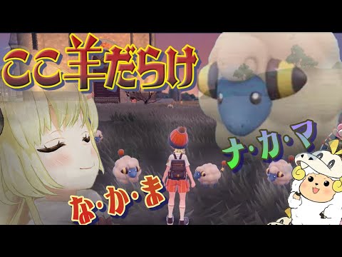 【ポケモンSV】メリープと出会った角巻わためぇ【ホロライブ切り抜き/角巻わため】