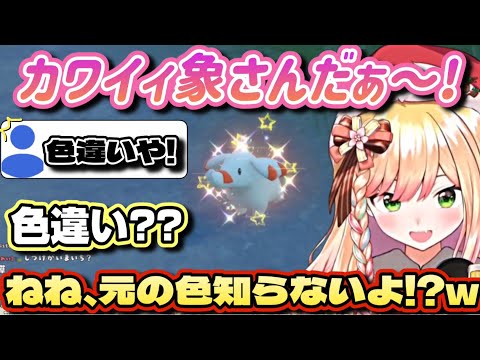 【ポケモンSV】初めてゴマゾウと戦ったら色違いだった豪運ねねち（＆虫パからどんどん離れてくねねちのパーティー）【ホロライブ/切り抜き/桃鈴ねね/#ポケモンsv 】