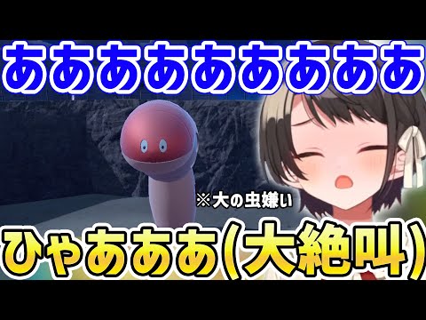 ミミズズと出会い驚きのあまり凄まじい大絶叫を響かせる大空スバル【ホロライブ/切り抜き/ポケモンSV】