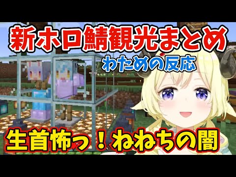 わための新ホロ鯖観光まとめ【角巻わため/ホロライブ/切り抜き】