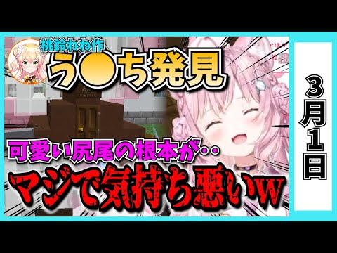 【3/1】ホロライブの昨日の見所まとめてみました【風真いろは・白上フブキ・大空スバル・天音かなた・鷹嶺ルイ・桃鈴ねね・博衣こより・沙花叉クロヱ・角巻わため・さくらみこ/ホロライブ切り抜き】