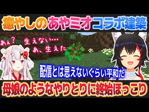 【Minecraft】終始癒される百鬼あやめと大神ミオのお家づくり【ホロライブ切り抜き】