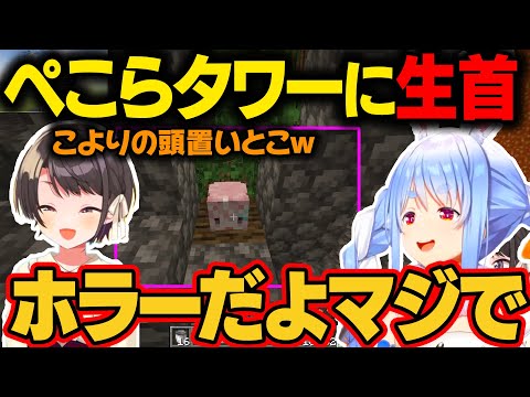 ぺこらタワーのマグマ消火活動のどさくさに紛れて博衣こよりの生首を置くスバル。生首を見たぺこらはガチで恐怖を感じてしまうｗ【大空スバル/兎田ぺこら/ホロライブ/ホロライブ切り抜き】