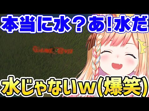 【ゼルダの伝説TotK】水だと信じて空から落下したら草で爆笑する桃鈴ねね【ホロライブ/切り抜き/ティアキン/ティアーズオブザキングダム】