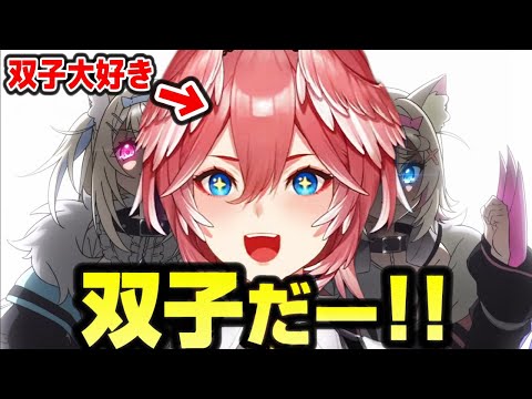 とうとうホロライブから双子がデビューすることについて興奮を隠せないルイ姉ｗｗｗ【ホロライブ/鷹嶺ルイ/FUWAMOCO/EN3期/切り抜き】