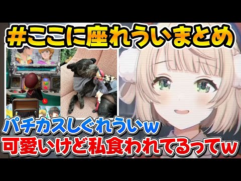 動物に食われたりパチスロ打ったり他のフィギュアとコラボさせられるここに座れういまとめ【ホロライブ/しぐれうい/角巻わため/切り抜き】