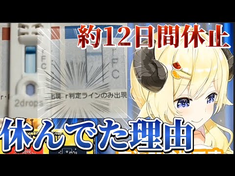 【休止】3連休以上休んだ事がなかったわため…休んでた理由について！【ホロライブ切り抜き/角巻わため/ホロライブ4期生】