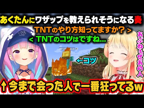 【ホロライブ】TNTのやり方をあくたんに聞く奏。ワザップを教えられそうになり、今まで会った人の中で一番狂ってたことに気がつくｗ【音乃瀬奏/湊あくあ/風真いろは/アーニャ/ホロライブ切り抜き】