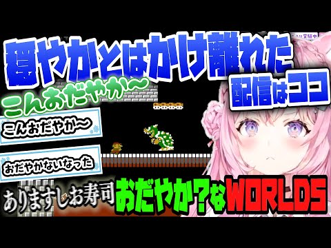 【スーパーマリオブラザーズ2】WORLD５を『おだやか～』で乗り切る！【博衣こより/Hololive/切り抜き】