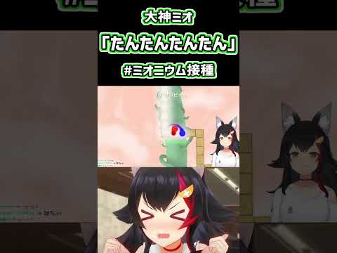 ミオしゃの可愛い「たんたんたんたん」#ミオニウム接種【大神ミオ/ホロライブ/切り抜き/ホロライブ切り抜き】