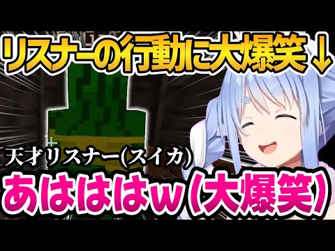 リスナーの行動に笑いが止まらないぺこちゃんｗ【ホロライブ切り抜き/兎田ぺこら】